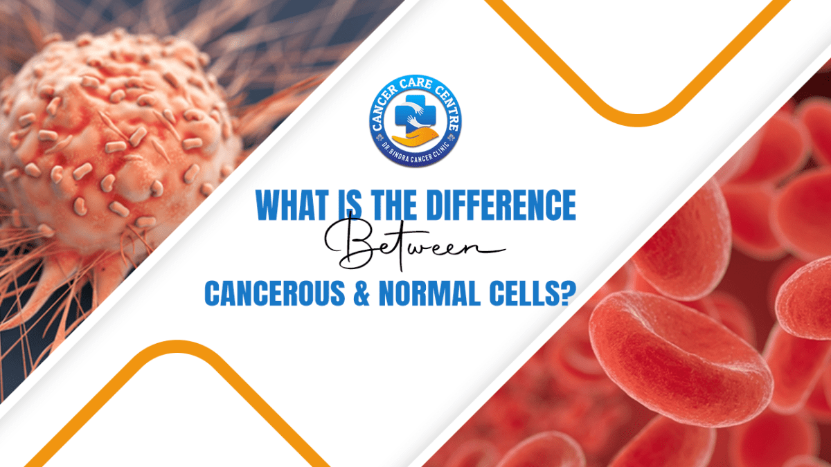 What is the difference between cancerous and normal cells?